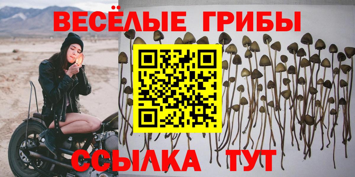 Псилоцибиновые грибы мухоморы  Вход с VPN  Галлюциногенные грибы мицелий  Орёл 